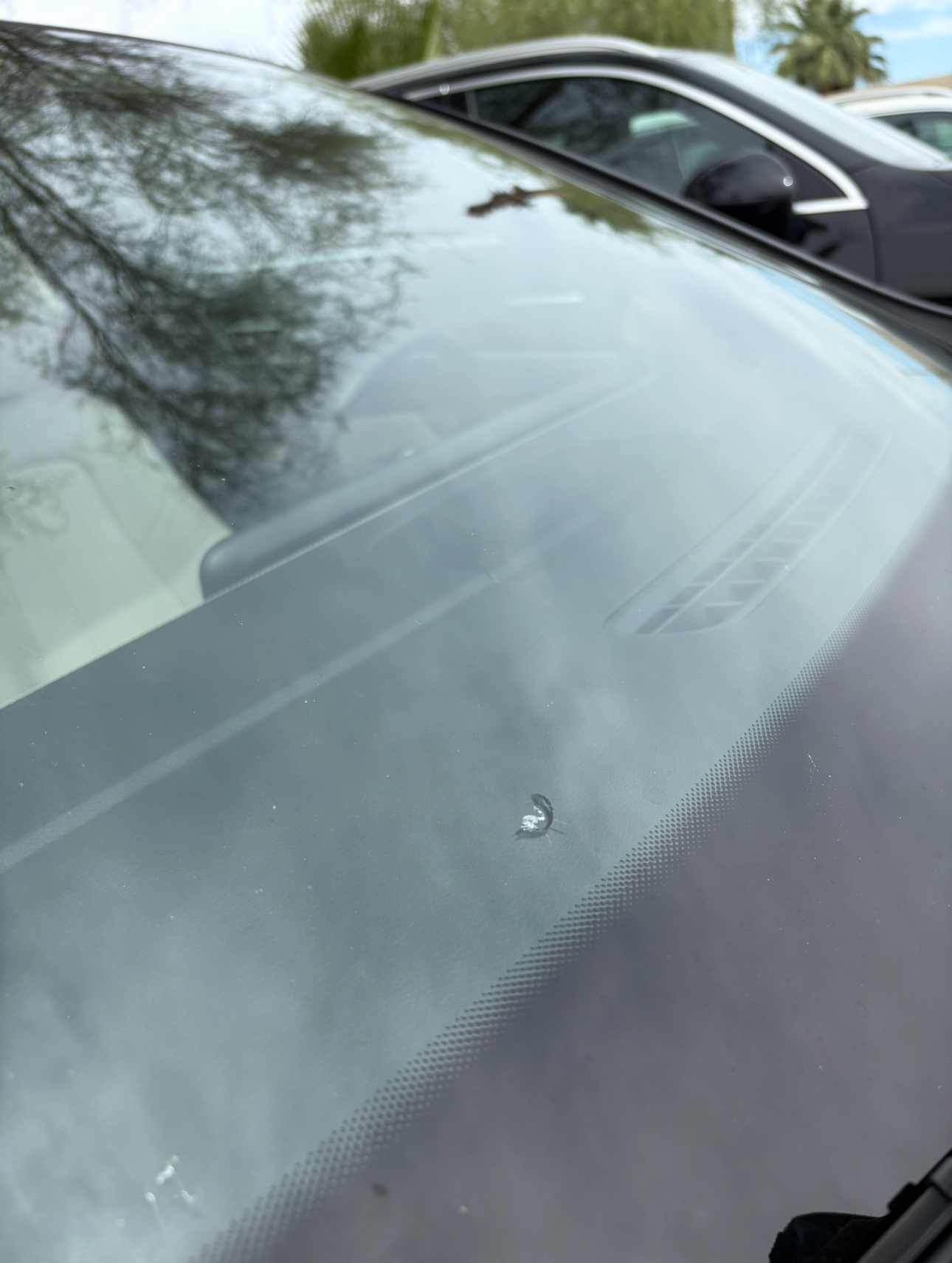 Small chip repair before